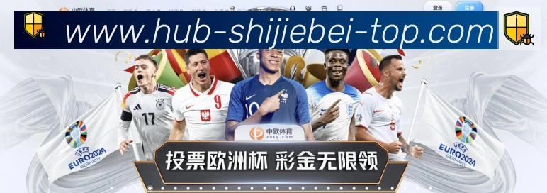 未来规划