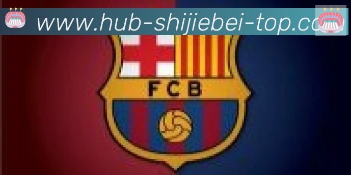 阿根廷世界杯买球入口合作伙伴